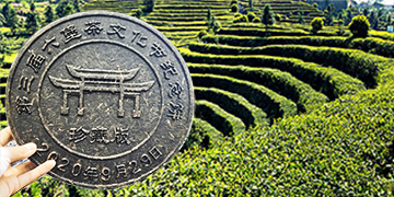 六堡茶有1500年历史，为何现在很多人还不熟悉呢？